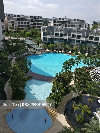 Skies Miltonia thumbnail photo